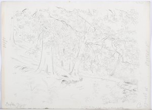 c.1916 by Daniel Oliver